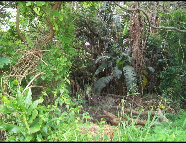 1,682M² VACANT LAND FOR SALE IN PALM BEACH